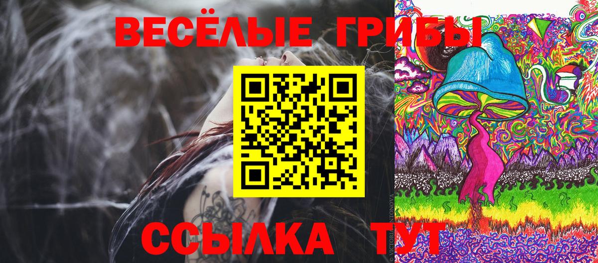 сколько стоит  Вход с VPN  Надым  Псилоцибиновые грибы GOLDEN TEACHER 